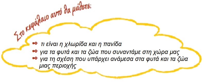 01 01 ti tha mathoume