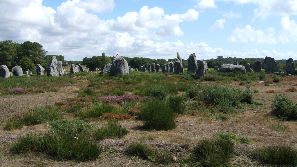the morbihan coast