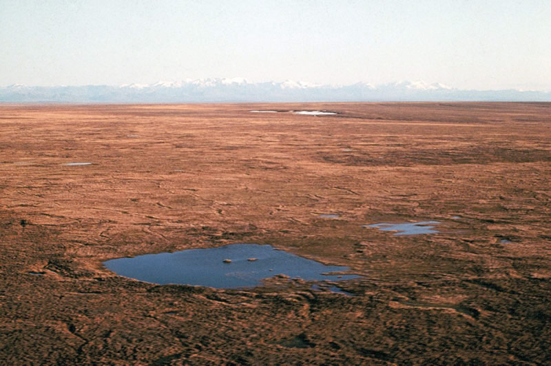 Tundra looking south toward Brooks Range, Alaska